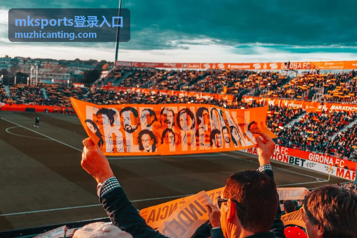 mksports登录入口 账户安全与验证页面示意图
