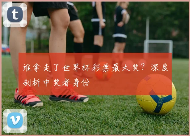 谁拿走了世界杯彩票最大奖？深度剖析中奖者身份